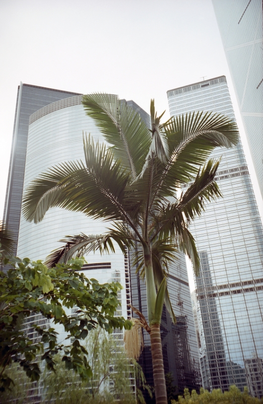 skyscrapers, Hong Kong China.jpg